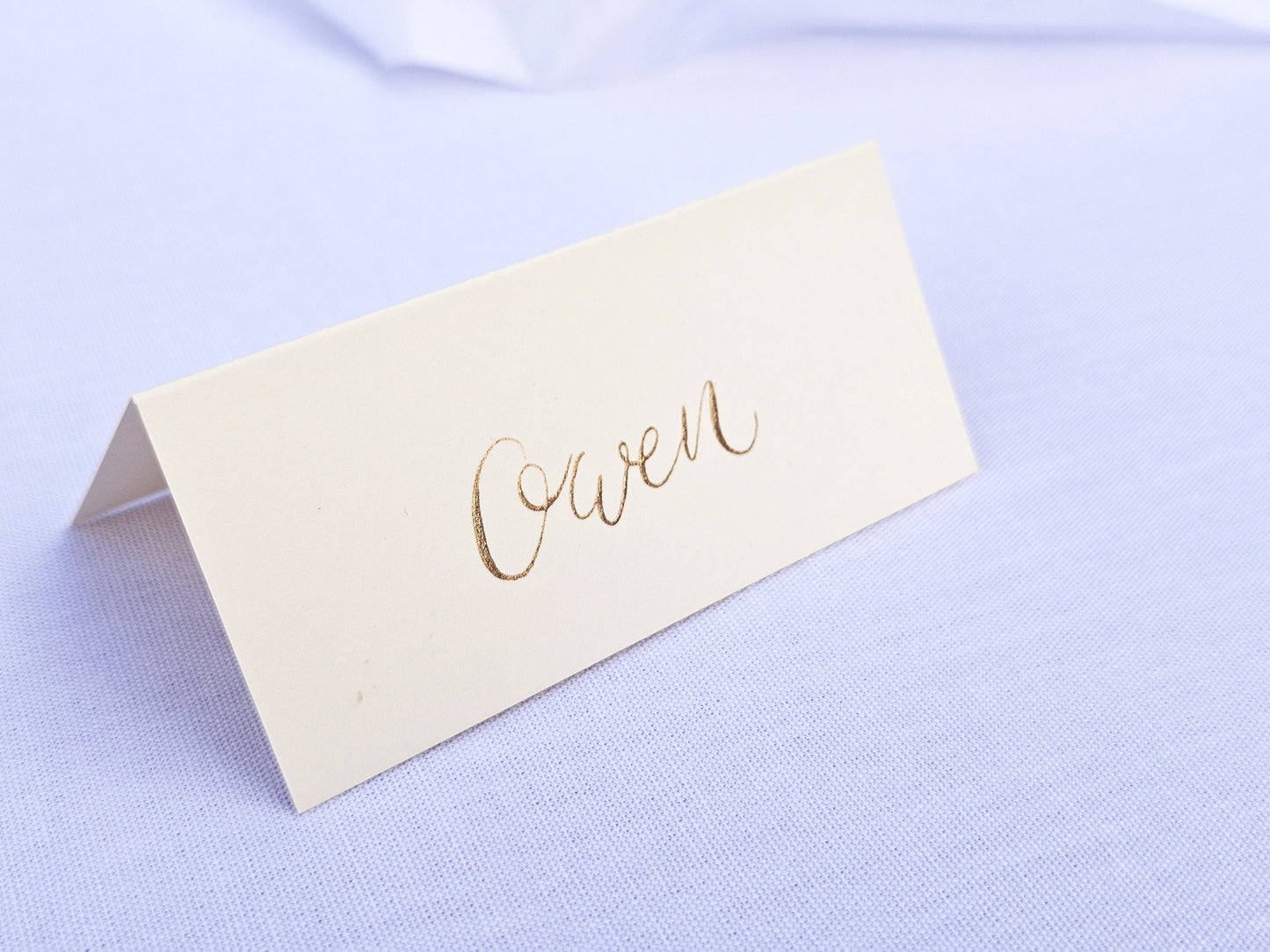 Handwritten Ivory Place Names | Gold Ink Tented Wedding Place Names | Handwritten Calligraphy | Seating Plan
