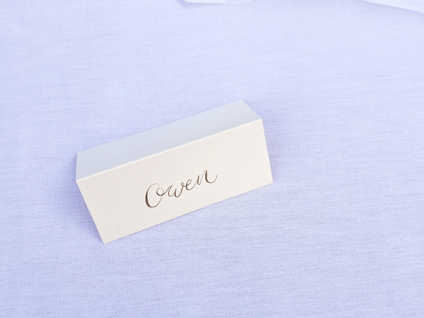 Handwritten Ivory Place Names | Gold Ink Tented Wedding Place Names | Handwritten Calligraphy | Seating Plan