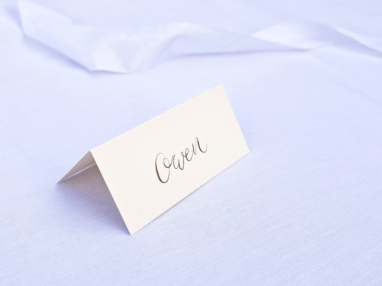 Handwritten Ivory Place Names | Gold Ink Tented Wedding Place Names | Handwritten Calligraphy | Seating Plan
