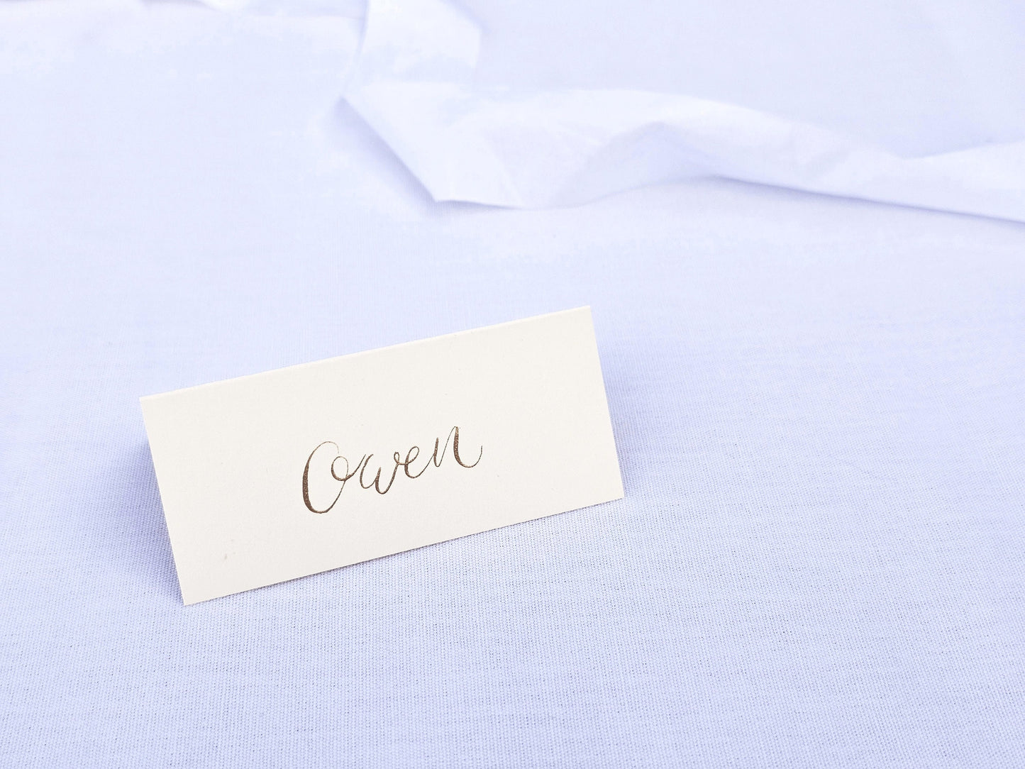 Handwritten Ivory Place Names | Gold Ink Tented Wedding Place Names | Handwritten Calligraphy | Seating Plan
